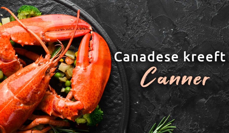 Canadese kreeft - canner
